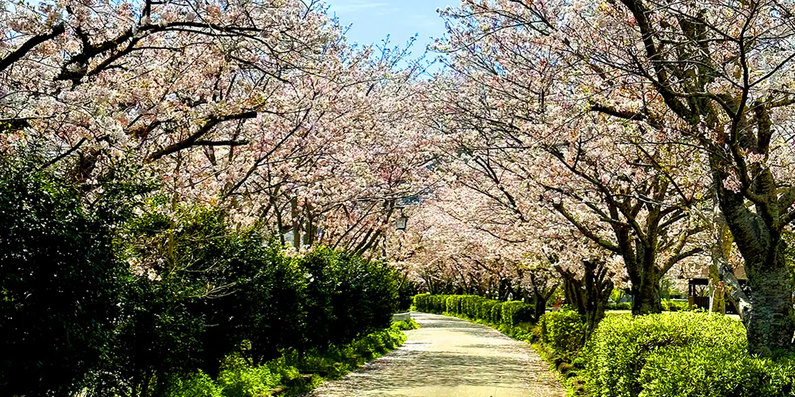 松本医院 - 芦北町 内科・消化器科